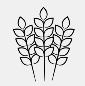 Grains